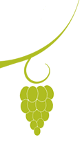 grapes grapes